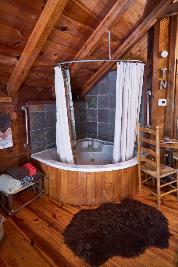 Gatlinburg Area Hottub Cabin - Ladyslipper Сев'єрвілл Екстер'єр фото