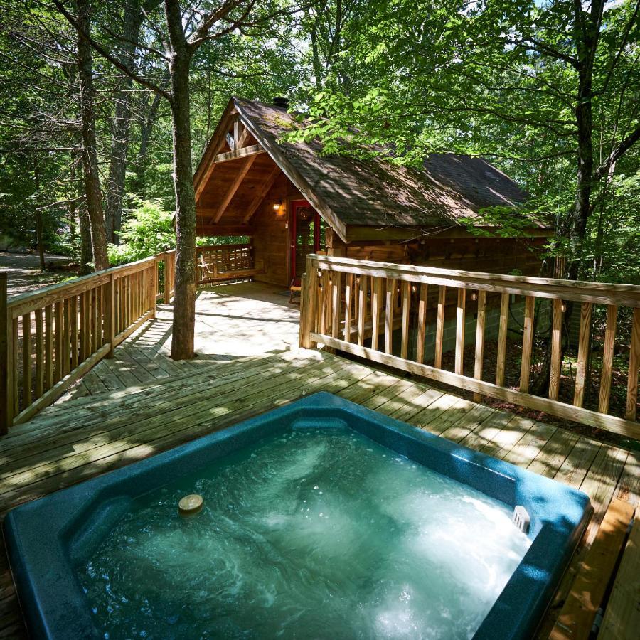 Gatlinburg Area Hottub Cabin - Ladyslipper Сев'єрвілл Екстер'єр фото