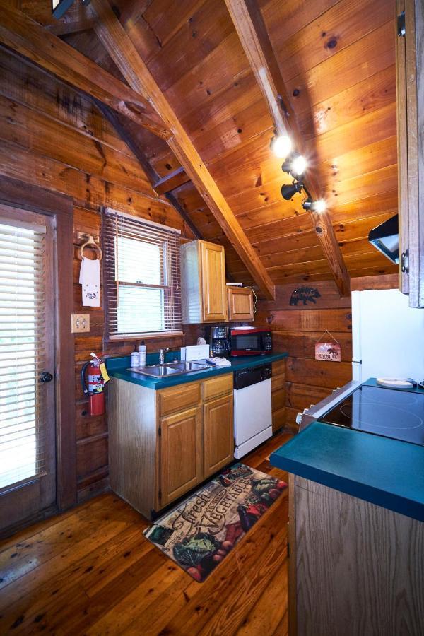 Gatlinburg Area Hottub Cabin - Ladyslipper Сев'єрвілл Екстер'єр фото