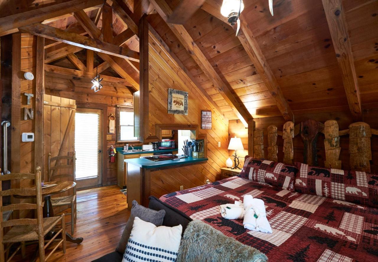 Gatlinburg Area Hottub Cabin - Ladyslipper Сев'єрвілл Екстер'єр фото
