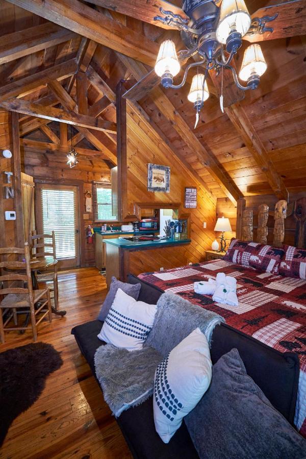 Gatlinburg Area Hottub Cabin - Ladyslipper Сев'єрвілл Екстер'єр фото