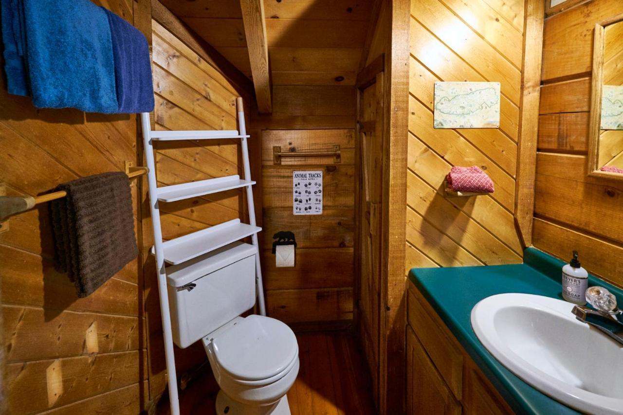 Gatlinburg Area Hottub Cabin - Ladyslipper Сев'єрвілл Екстер'єр фото