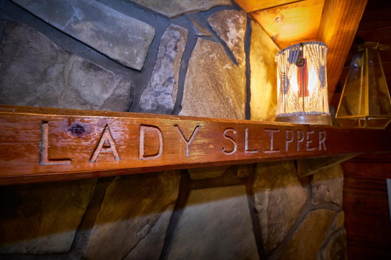 Gatlinburg Area Hottub Cabin - Ladyslipper Сев'єрвілл Екстер'єр фото